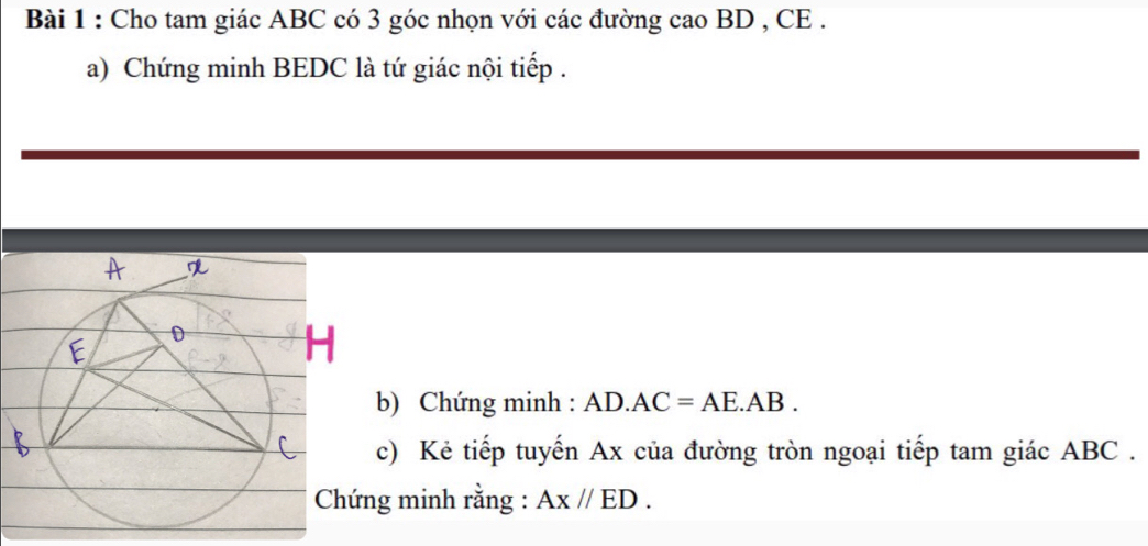 Cho tam giác ABC có 3 góc nhọn với các đường cao BD , CE . 
a) Chứng minh BEDC là tứ giác nội tiếp . 
b) Chứng minh : AD.AC=AE.AB. 
c) Kẻ tiếp tuyến Ax của đường tròn ngoại tiếp tam giác ABC. 
ứng minh rằng : Ax//ED.