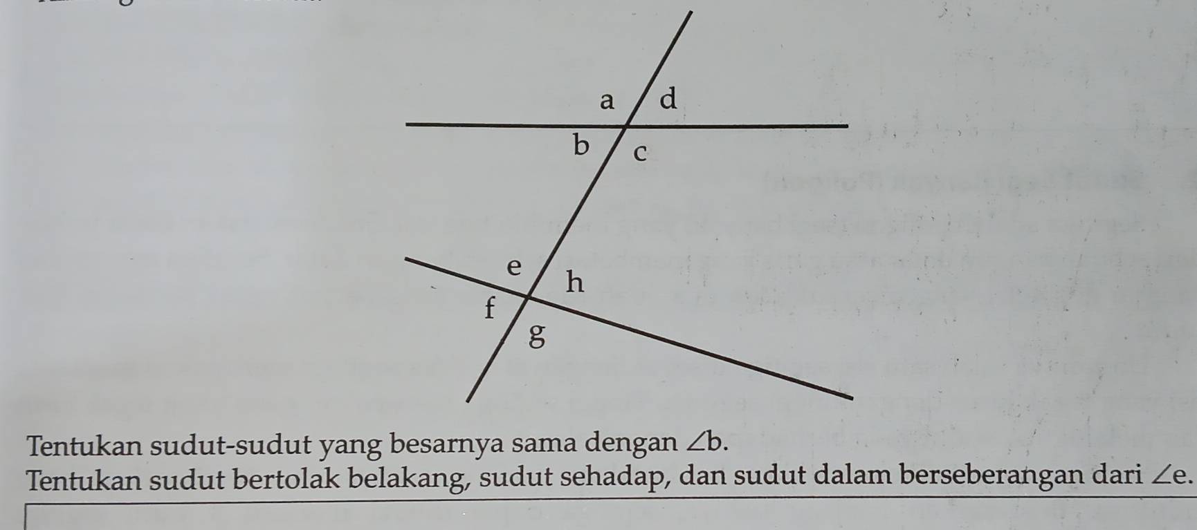 Tentukan sudut bertolak belakang, sudut sehadap, dan sudut dalam berseberangan dari ∠ e.