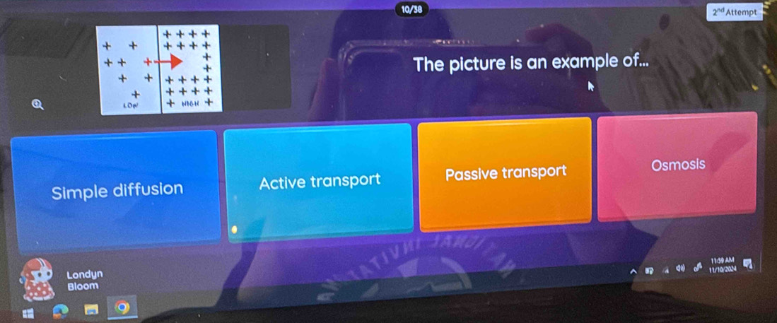 10/38 2^(nd) Attempt
1 +
The picture is an example of...
+
LDW
Simple diffusion Active transport Passive transport
Osmosis
09 A
Londyn
1a
Bloom