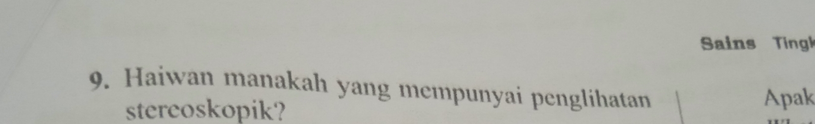 Sains Tingk 
9. Haiwan manakah yang mempunyai penglihatan 
stereoskopik? 
Apak