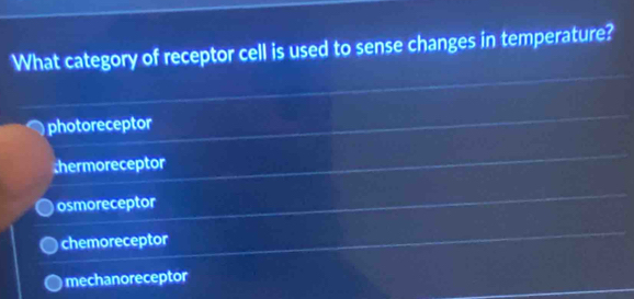 What category of receptor cell is used to sense changes in temperature?
photoreceptor
hermoreceptor
osmoreceptor
chemoreceptor
mechanoreceptor