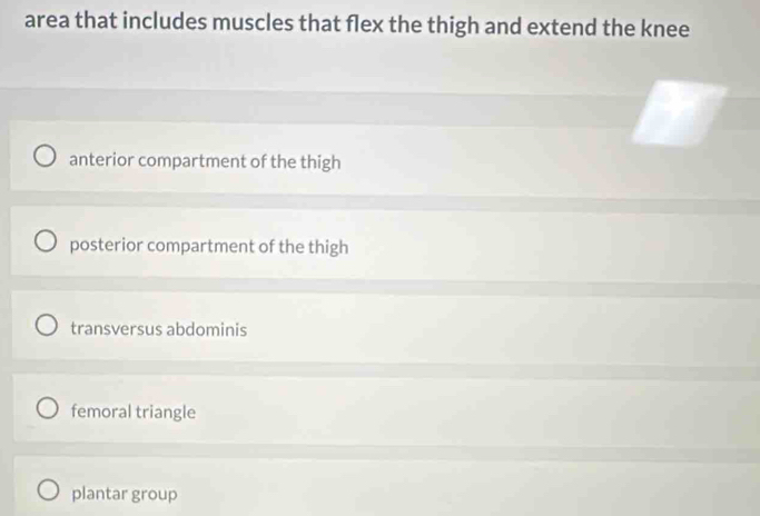 area that includes muscles that flex the thigh and extend the knee
anterior compartment of the thigh
posterior compartment of the thigh
transversus abdominis
femoral triangle
plantar group