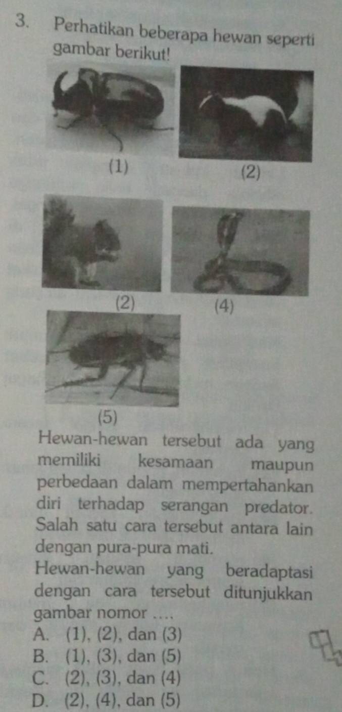 Perhatikan beberapa hewan seperti
gambar berikut!
(1)
(2)
(2) (4)
(5)
Hewan-hewan tersebut ada yang
memiliki kesamaan maupun
perbedaan dalam mempertahankan
diri terhadap serangan predator.
Salah satu cara tersebut antara lain
dengan pura-pura mati.
Hewan-hewan yang beradaptasi
dengan cara tersebut ditunjukkan
gambar nomor ...
A. (1), (2), dan (3)
B. (1), (3), dan (5)
C. (2), (3), dan (4)
D. (2), (4), dan (5)