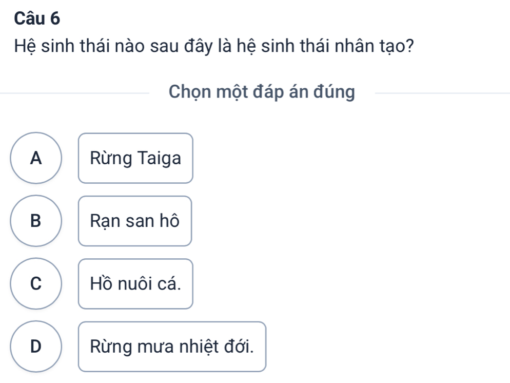 Hệ sinh thái nào sau đây là hệ sinh thái nhân tạo?
Chọn một đáp án đúng
A Rừng Taiga
B Rạn san hô
C Hồ nuôi cá.
D Rừng mưa nhiệt đới.