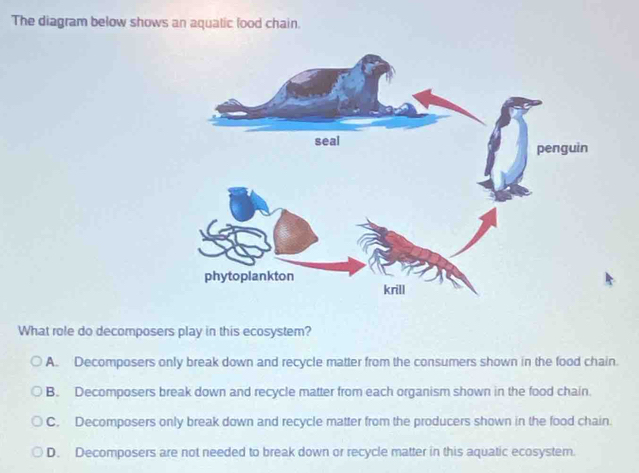 Solved: The diagram below shows an aquatic food chain. What role do ...