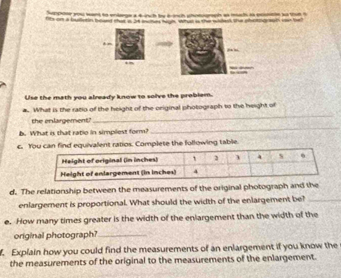 Suppose you want to enlege a 4-inch by 6-inch phocograph as much is coscle so this it 
fits on a busletin board that is 24 inches high. What is the whest thie photo aon vhi be? 
47 
Use the math you already know to solve the problem. 
_ 
a. What is the ratio of the height of the original photograph to the height of 
the enlargement? 
b. What is that ratio in simplest form? 
_ 
c. Y equivalent ratios. Complete the following table. 
d. The relationship between the measurements of the original photograph and the 
enlargement is proportional. What should the width of the enlargement be?_ 
e. How many times greater is the width of the enlargement than the width of the 
original photograph?_ 
. Explain how you could find the measurements of an enlargement if you know the 
the measurements of the original to the measurements of the enlargement.