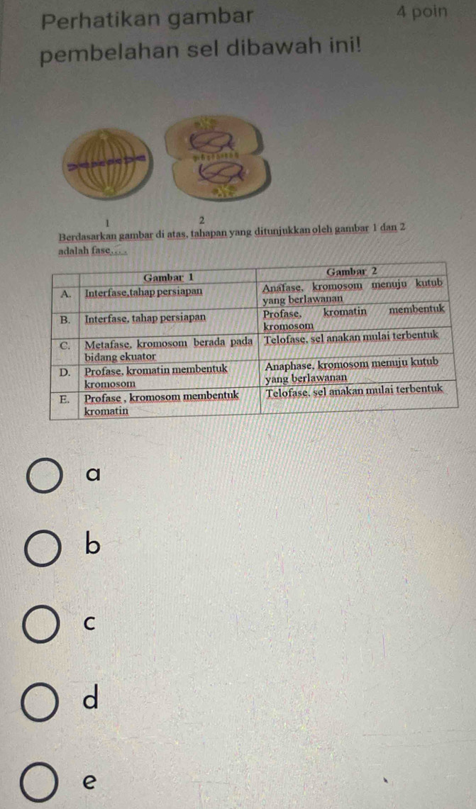 Perhatikan gambar 4 poin
pembelahan sel dibawah ini!
1
2
Berdasarkan gambar di atas, tahapan yang ditunjukkan oleh gambar 1 dan 2
adalah fase…
a
b
C
d
e