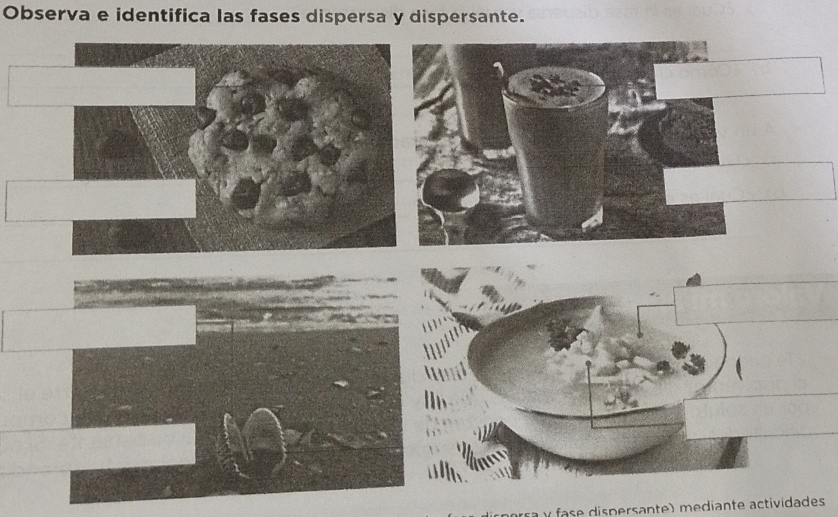 Observa e identifica las fases dispersa y dispersante. 
sa y fase dispersante) mediante actividades