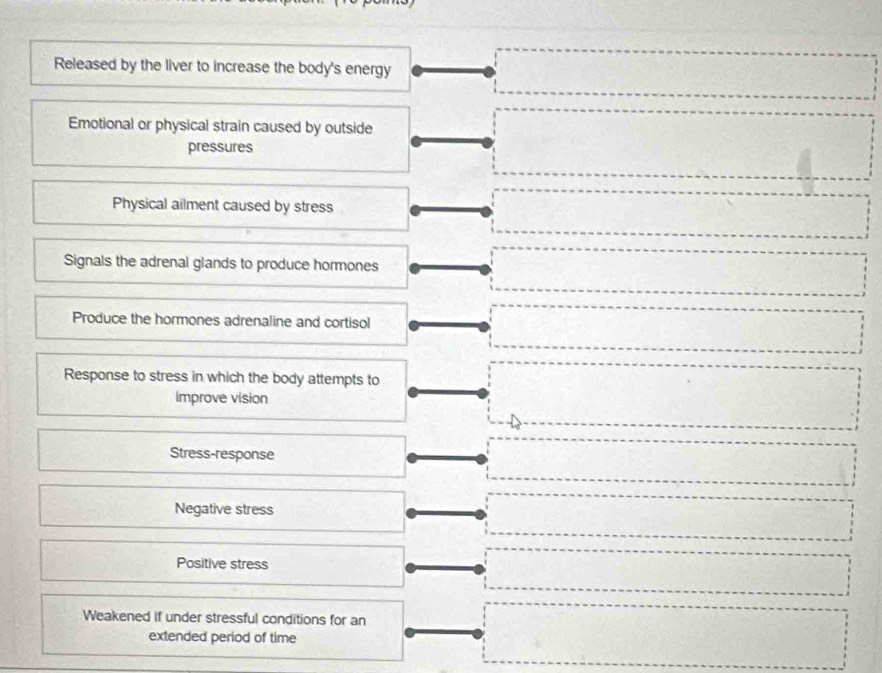 Released by the liver to increase the body's energy
Emotional or physical strain caused by outside
pressures
Physical ailment caused by stress
Signals the adrenal glands to produce hormones
Produce the hormones adrenaline and cortisol
Response to stress in which the body attempts to
improve vision
Stress-response
Negative stress
Positive stress
Weakened if under stressful conditions for an
extended period of time