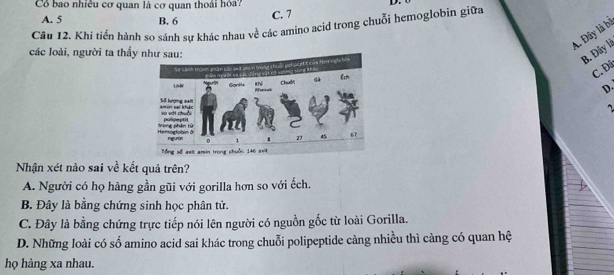 Có bao nhiều cơ quan là cơ quan thoái hóa?
A. 5 B. 6 C. 7
Câu 12. Khi tiến hành so sánh sự khác nhau về các amino acid trong chuỗi hemoglobin giữa
A. Đây là bị
các loài, người ta thấy như sau:
B. Đây là
C. Đã
D
Nhận xét nào sai về kết quả trên?
A. Người có họ hàng gần gũi với gorilla hơn so với ếch.
B. Đây là bằng chứng sinh học phân tử.
C. Đây là bằng chứng trực tiếp nói lên người có nguồn gốc từ loài Gorilla.
D. Những loài có số amino acid sai khác trong chuỗi polipeptide càng nhiều thì càng có quan hệ
họ hàng xa nhau.