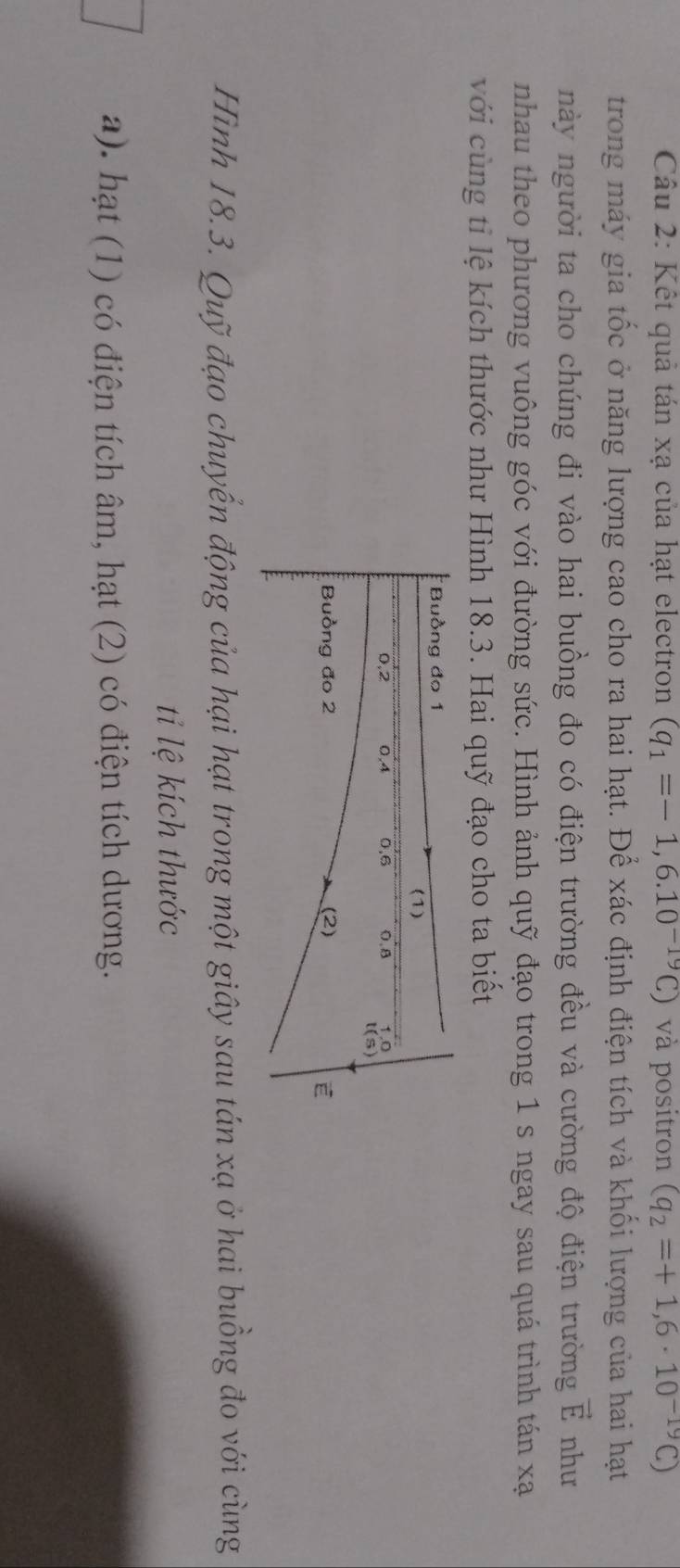 Kết quả tán xạ của hạt electron (q_1=-1,6.10^(-19)C) và positron (q_2=+1,6· 10^(-19)C)
trong máy gia tốc ở năng lượng cao cho ra hai hạt. Để xác định điện tích và khối lượng của hai hạt
này người ta cho chúng đi vào hai buồng đo có điện trường đều và cường độ điện trường vector E như
nhau theo phương vuông góc với đường sức. Hình ảnh quỹ đạo trong 1 s ngay sau quá trình tán xạ
với cùng ti lệ kích thước như Hình 18.3. Hai quỹ đạo cho ta biết
Hình 18.3. Quỹ đạo chuyển động của hại hạt trong một giây sau tán xạ ở hai buồng đo với cùng
ti lệ kích thước
a). hạt (1) có điện tích âm, hạt (2) có điện tích dương.