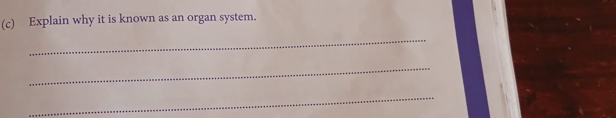 Explain why it is known as an organ system. 
_ 
_ 
_