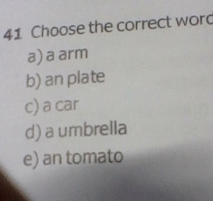 Choose the correct word
a) a arm
b) an plate
c) a car
d) a umbrella
e) an tomato