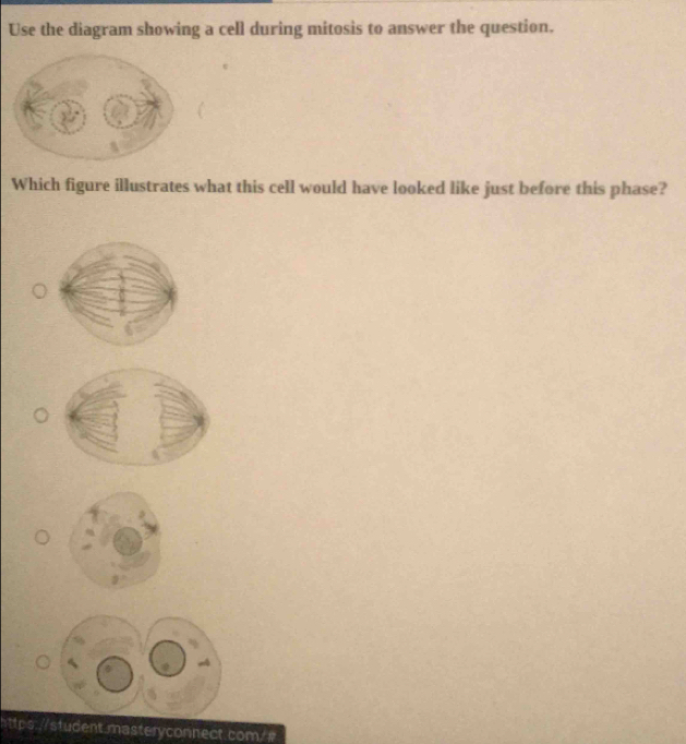 Use the diagram showing a cell during mitosis to answer the question. 
Which figure illustrates what this cell would have looked like just before this phase? 
s.//student.masteryconnect.com/ #