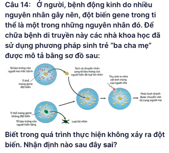 Ở người, bệnh động kinh do nhiều 
nguyên nhân gây nên, đột biến gene trong ti 
thể là một trong những nguyên nhân đó. Để 
chữa bệnh di truyền này các nhà khoa học đã 
sử dụng phương pháp sinh trẻ “ba cha mẹ” 
được mô tả bằng sơ đồ sau: 
Biết trong quá trình thực hiện không xảy ra đột 
biến. Nhận định nào sau đây sai?