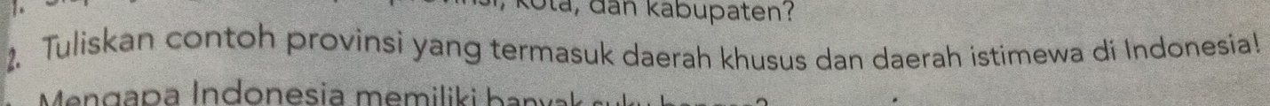 Kota, dan kabupaten? 
2. Tuliskan contoh provinsi yang termasuk daerah khusus dan daerah istimewa di Indonesia! 
Mengapa Indonesia memiliki banya