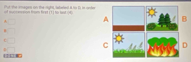 Put the images on the right, labeled A to D, in order
of succession from first (1) to last (4)
A □
B □
C □
D □
DON