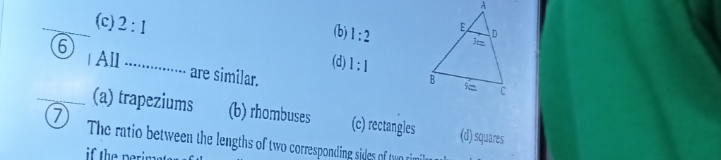 (c) 2:1
(b) 1:2
(d) 1:1
6 All .............. are similar.
7
_(a) trapeziums (b) rhombuses (c) rectangles (d) squares
The ratio between the lengths of two corresponding sides of two rim