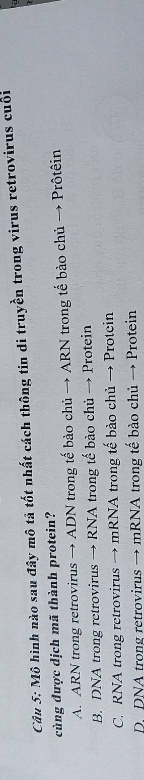 Mô hình nào sau đây mô tả tốt nhất cách thông tin di truyền trong virus retrovirus cuối
cùng được dịch mã thành protein?
A. ARN trong retrovirus → ADN trong tế bào chủ → ARN trong tế bào chủ → Prôtêin
B. DNA trong retrovirus → RNA trong tế bào chủ → Protein
C. RNA trong retrovirus → mRNA trong tế bào chủ → Protein
D. DNA trong retrovirus → mRNA trong tế bào chủ → Protein