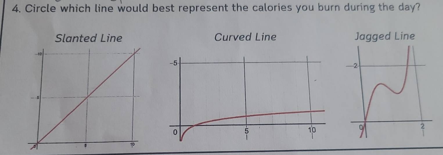 Circle which line would best represent the calories you burn during the day?
Slanted Line Curved Line Jagged Line