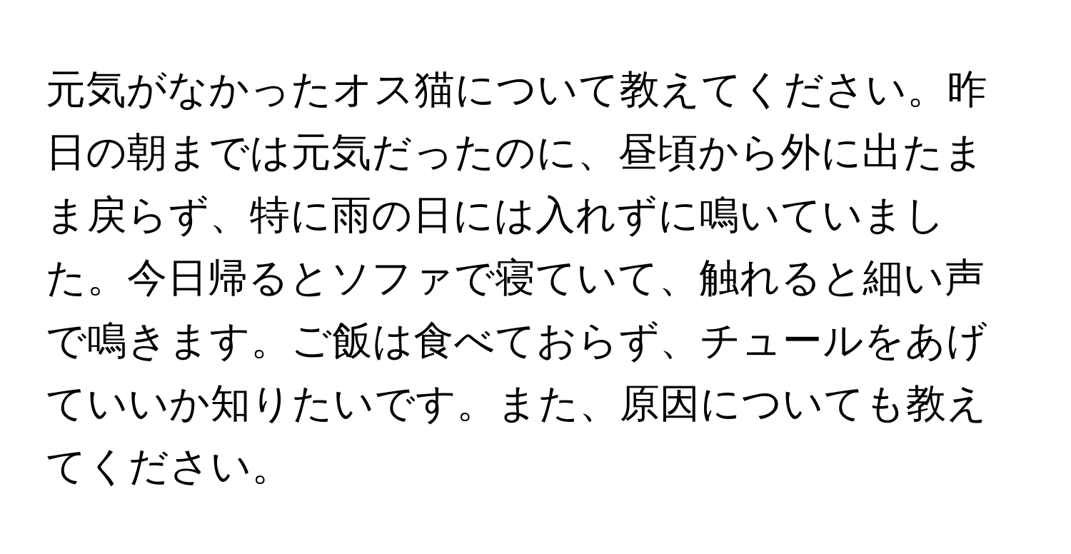 元気がなかったオス猫について教えてください。昨日の朝までは元気だったのに、昼頃から外に出たまま戻らず、特に雨の日には入れずに鳴いていました。今日帰るとソファで寝ていて、触れると細い声で鳴きます。ご飯は食べておらず、チュールをあげていいか知りたいです。また、原因についても教えてください。