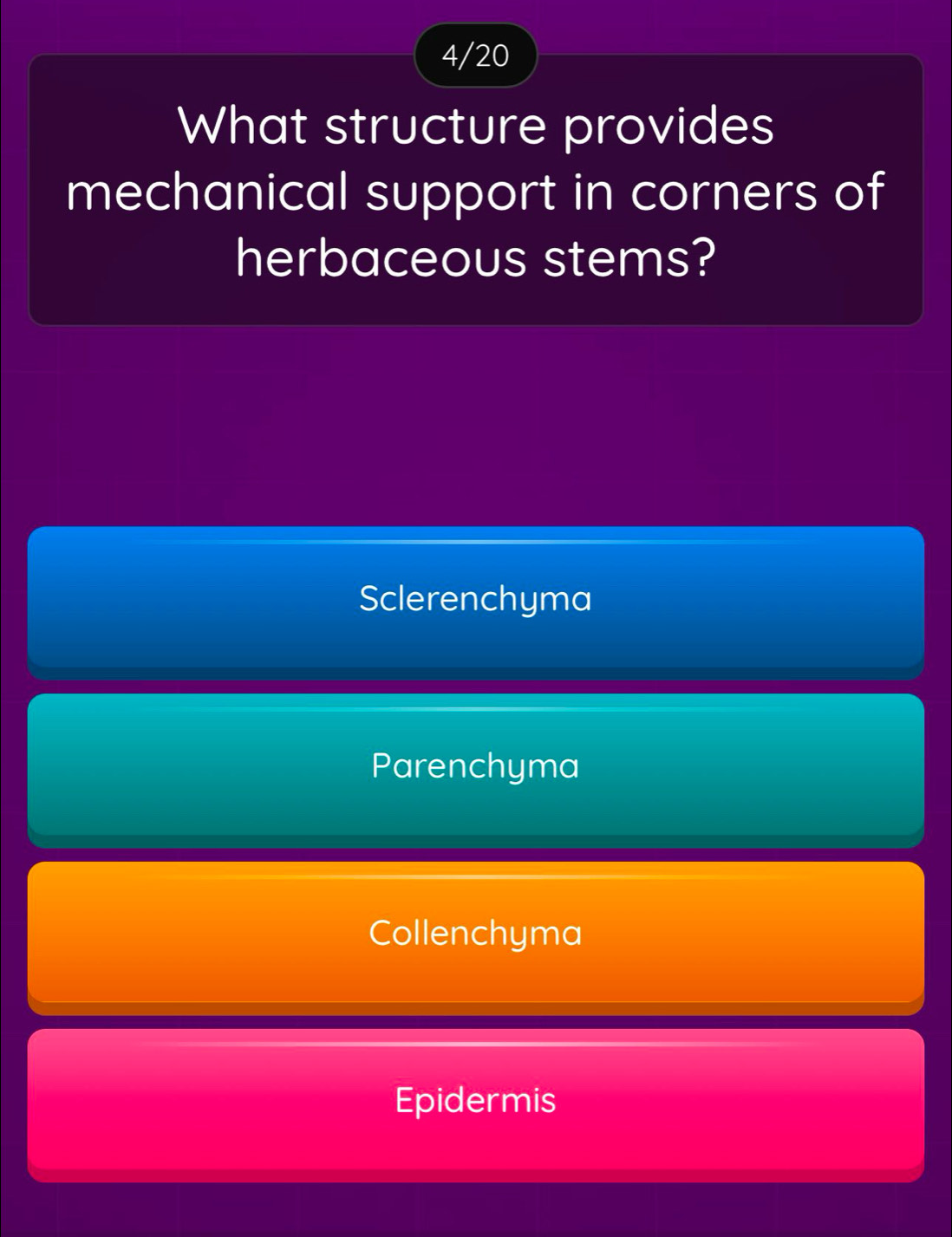 4/20
What structure provides
mechanical support in corners of
herbaceous stems?
Sclerenchyma
Parenchyma
Collenchyma
Epidermis