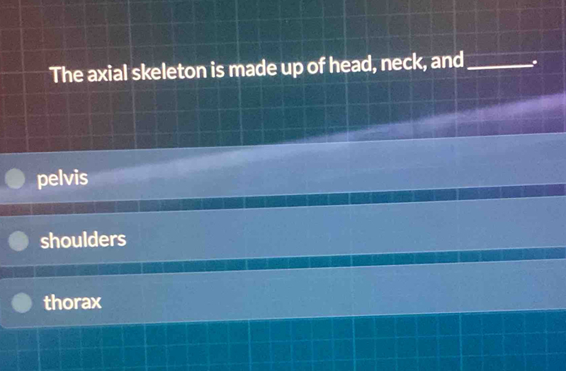 The axial skeleton is made up of head, neck, and _.
pelvis
shoulders
thorax