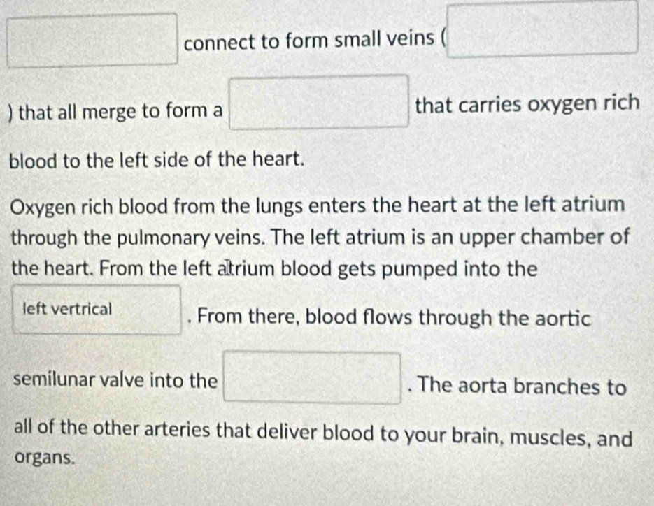 square connect to form small veins (□  
) that all merge to form a □ that carries oxygen rich 
blood to the left side of the heart. 
Oxygen rich blood from the lungs enters the heart at the left atrium 
through the pulmonary veins. The left atrium is an upper chamber of 
the heart. From the left atrium blood gets pumped into the
 1/10 
left vertrical □ . From there, blood flows through the aortic 
semilunar valve into the □. The aorta branches to 
all of the other arteries that deliver blood to your brain, muscles, and 
organs.