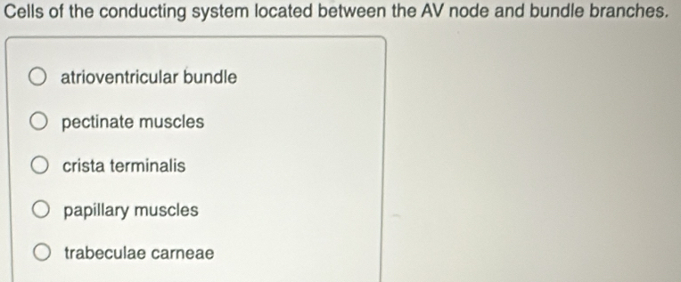 Cells of the conducting system located between the AV node and bundle branches.
atrioventricular bundle
pectinate muscles
crista terminalis
papillary muscles
trabeculae carneae