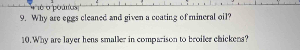 < 
4 tó o pounas 
9. Why are eggs cleaned and given a coating of mineral oil? 
10.Why are layer hens smaller in comparison to broiler chickens?