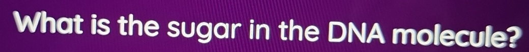 What is the sugar in the DNA molecule?