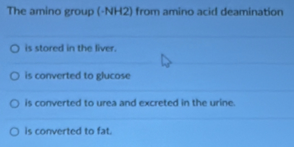 The amino group (- NH2) from amino acid deamination
is stored in the liver.
is converted to glucose
is converted to urea and excreted in the urine.
is converted to fat.