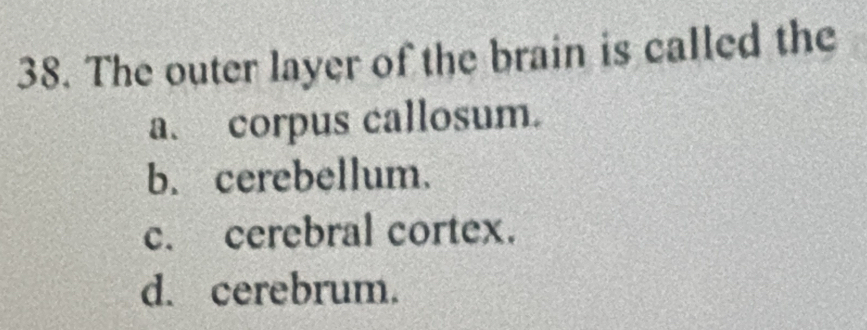 The outer layer of the brain is called the
a. corpus callosum.
b. cerebellum.
c. cerebral cortex.
d. cerebrum.