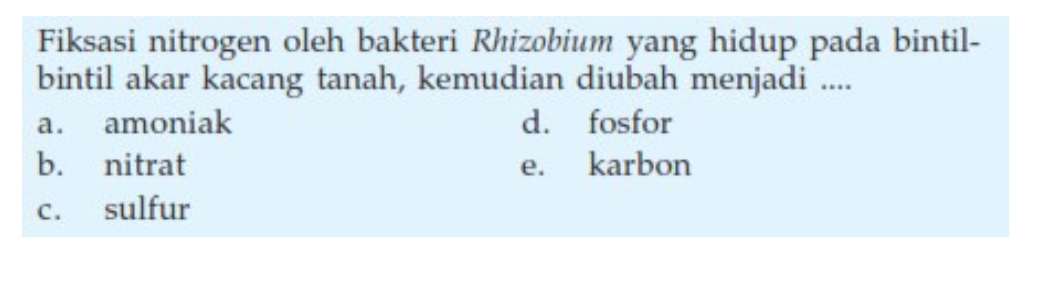 Fiksasi nitrogen oleh bakteri Rhizobium yang hidup pada bintil-
bintil akar kacang tanah, kemudian diubah menjadi ....
a. amoniak d. fosfor
b. nitrat e. karbon
c. sulfur