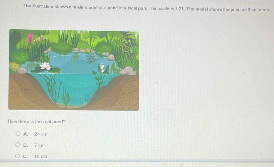 The illustration shows a scale model of a pond in a local park. The scale is 1:21.. The model shows the pond as 3 cm deep.
How deep is the real pond?
A. 24 cm
B. 7 cm
C. 18 cm