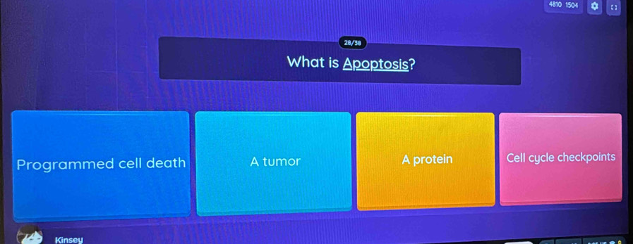 4810 1504 * 【】
28/38
What is Apoptosis?
Programmed cell death A tumor A protein Cell cycle checkpoints
Kinsey