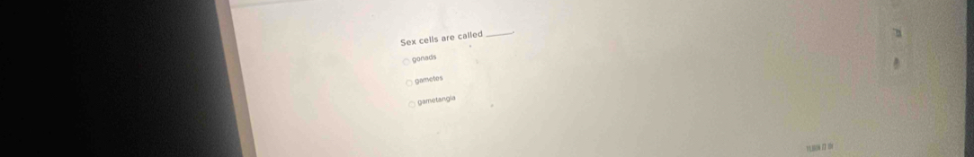 Sex cells are called_ 
gonads 
gametes 
gametangia 
YLMZ ihr