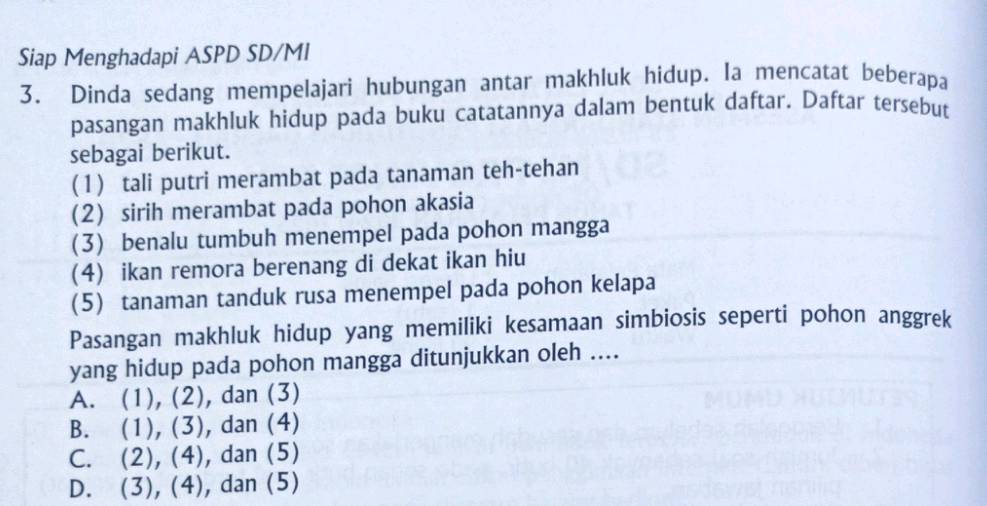 Siap Menghadapi ASPD SD/MI
3. Dinda sedang mempelajari hubungan antar makhluk hidup. Ia mencatat beberapa
pasangan makhluk hidup pada buku catatannya dalam bentuk daftar. Daftar tersebut
sebagai berikut.
(1) tali putri merambat pada tanaman teh-tehan
(2) sirih merambat pada pohon akasia
(3) benalu tumbuh menempel pada pohon mangga
(4) ikan remora berenang di dekat ikan hiu
(5) tanaman tanduk rusa menempel pada pohon kelapa
Pasangan makhluk hidup yang memiliki kesamaan simbiosis seperti pohon anggrek
yang hidup pada pohon mangga ditunjukkan oleh ....
A. (1), (2), dan (3)
B. (1), (3), dan (4)
C. (2), (4), dan (5)
D. (3), (4), dan (5)