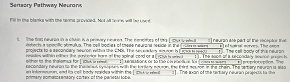 Sensory Pathway Neurons 
Fill in the blanks with the terms provided. Not all terms will be used. 
1. The first neuron in a chain is a primary neuron. The dendrites of this (Click to select) : neuron are part of the receptor that 
detects a specific stimulus. The cell bodies of these neurons reside in the (click to select) ; of spinal nerves. The axon 
projects to a secondary neuron within the CNS. The secondary neuron is (click to select) ‡). The cell body of this neuron 
resides within either the posterior horn of the spinal cord or a (Click to select) :). The axon of a secondary neuron projects 
either to the thalamus for (Click to select) : sensations or to the cerebellum for (Click to select) proprioception. The 
secondary neuron to the thalamus synapses with the tertiary neuron, the third neuron in the chain. The tertiary neuron is also 
an interneuron, and its cell body resides within the (Click to select) : ) . The axon of the tertiary neuron projects to the 
primary somatosensory cortex of the parietal lobe.