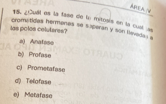 ÁREA V
15. ¿Cuál es la fase de la mitosís en la cual las
cromatidas hermanas se separan y son llevadas a
los polos celulares?
a) Anafase
b) Profase
c) Prometafase
d) Telofase
e) Metafase