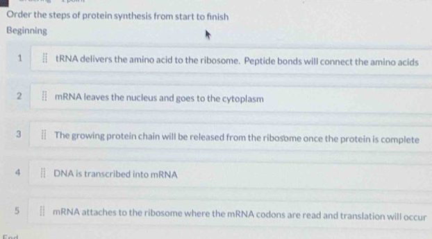 Order the steps of protein synthesis from start to finish 
Beginning 
1 tRNA delivers the amino acid to the ribosome. Peptide bonds will connect the amino acids 
2 § mRNA leaves the nucleus and goes to the cytoplasm 
3 The growing protein chain will be released from the ribosome once the protein is complete 
4 DNA is transcribed into mRNA 
5 || mRNA attaches to the ribosome where the mRNA codons are read and translation will occur