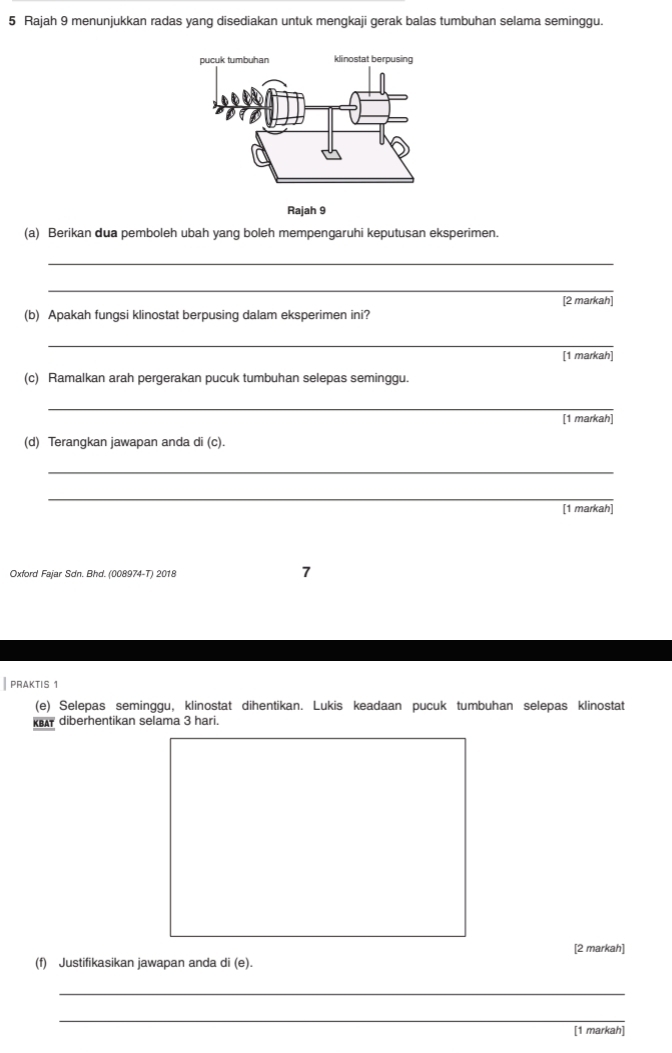 Rajah 9 menunjukkan radas yang disediakan untuk mengkaji gerak balas tumbuhan selama seminggu. 
Rajah 9 
(a) Berikan dua pemboleh ubah yang boleh mempengaruhi keputusan eksperimen. 
_ 
_ 
[2 markah] 
(b) Apakah fungsi klinostat berpusing dalam eksperimen ini? 
_ 
[1 markah] 
(c) Ramalkan arah pergerakan pucuk tumbuhan selepas seminggu. 
_ 
[1 markah] 
(d) Terangkan jawapan anda di (c). 
_ 
_ 
[1 markah] 
Oxford Fajar Sdn. Bhd. (008974-T) 2018 7 
PRAKTIS 1 
(e) Selepas seminggu, klinostat dihentikan. Lukis keadaan pucuk tumbuhan selepas klinostat 
ka diberhentikan selama 3 hari. 
[2 markah] 
(f) Justifikasikan jawapan anda di (e). 
_ 
_ 
[1 markah]