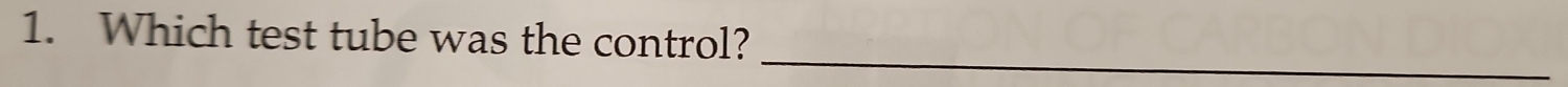 Which test tube was the control? 
_