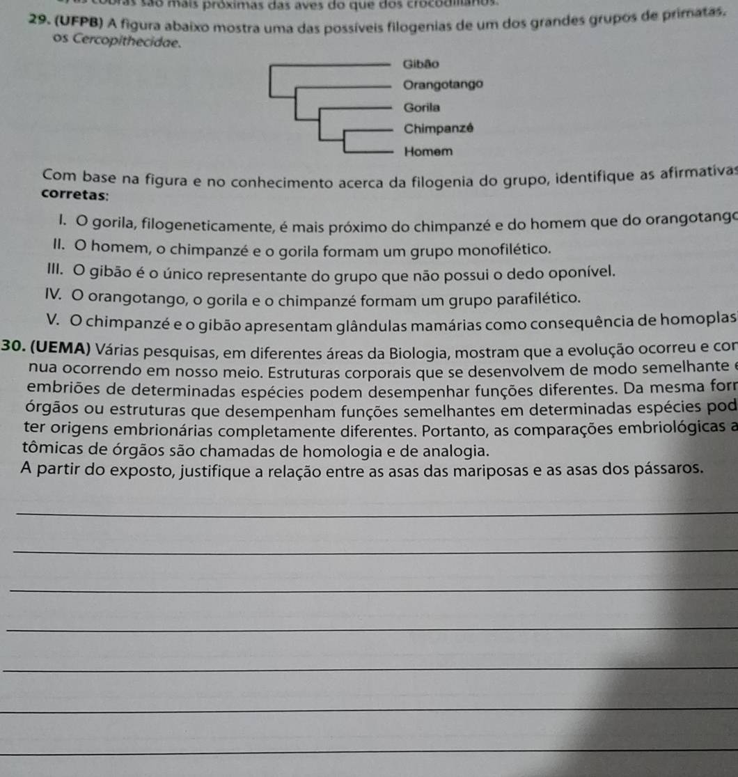 as são mais próximas das aves do que dos crocodianos
29. (UFPB) A figura abaixo mostra uma das possíveis filogenias de um dos grandes grupos de primatas.
os Cercopithecidae.
Gibão
Orangotango
Gorila
Chimpanzé
Homem
Com base na figura e no conhecimento acerca da filogenia do grupo, identifique as afirmativas
corretas:
I. O gorila, filogeneticamente, é mais próximo do chimpanzé e do homem que do orangotango
II. O homem, o chimpanzé e o gorila formam um grupo monofilético.
III. O gibão é o único representante do grupo que não possui o dedo oponível.
IV. O orangotango, o gorila e o chimpanzé formam um grupo parafilético.
V. O chimpanzé e o gibão apresentam glândulas mamárias como consequência de homoplas
30. (UEMA) Várias pesquisas, em diferentes áreas da Biologia, mostram que a evolução ocorreu e con
nua ocorrendo em nosso meio. Estruturas corporais que se desenvolvem de modo semelhante e
embriões de determinadas espécies podem desempenhar funções diferentes. Da mesma form
oórgãos ou estruturas que desempenham funções semelhantes em determinadas espécies pod
ter origens embrionárias completamente diferentes. Portanto, as comparações embriológicas a
tômicas de órgãos são chamadas de homologia e de analogia.
A partir do exposto, justifique a relação entre as asas das mariposas e as asas dos pássaros.
_
_
_
_
_
_
_