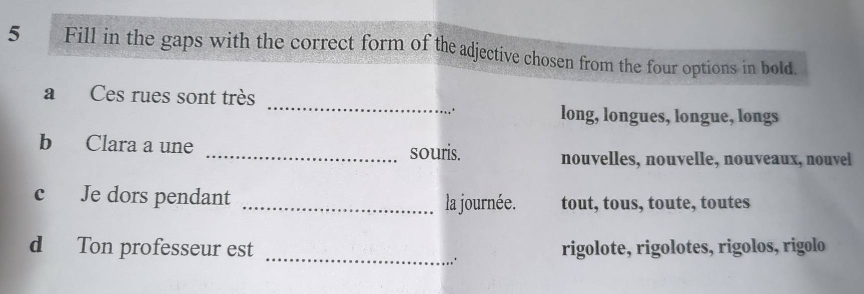 Fill in the gaps with the correct form of the adjective chosen from the four options in bold.
_
a Ces rues sont très
..
long, longues, longue, longs
b Clara a une
_souris.
nouvelles, nouvelle, nouveaux, nouvel
c Je dors pendant _la journée. tout, tous, toute, toutes
d Ton professeur est rigolote, rigolotes, rigolos, rigolo
_.