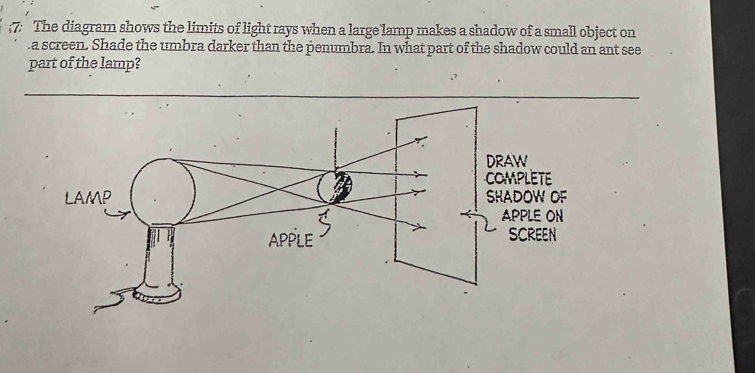 Solved: 7: The diagram shows the limits of light rays when a large lamp ...