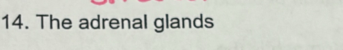 The adrenal glands