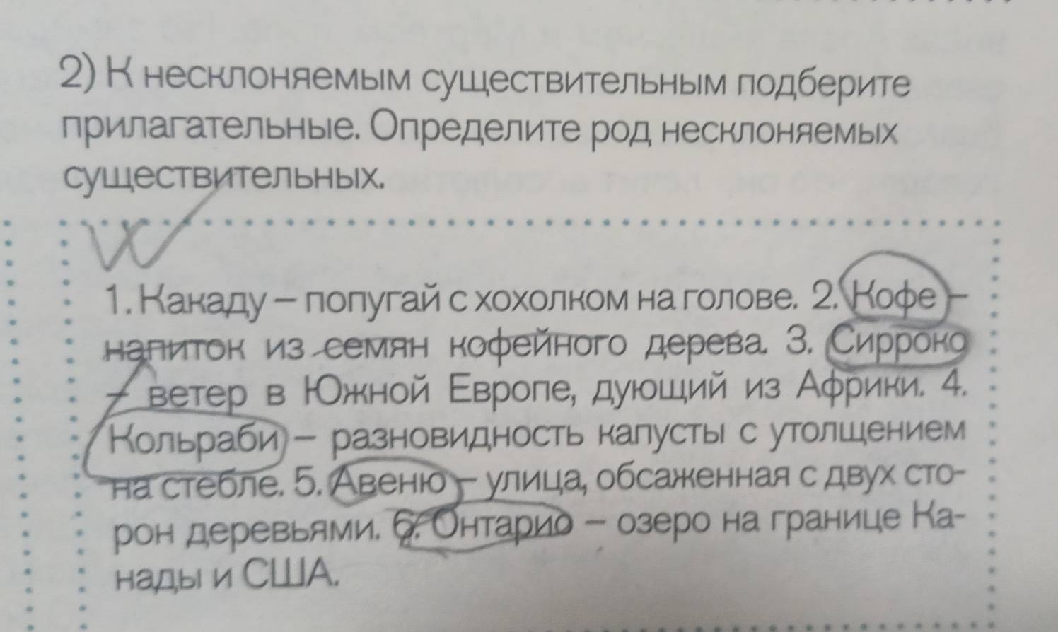 Кнесклоняемым сушествительным лодберите 
прилагательныее. Олределите род несклоняемых 
суШествительных. 
1. Какаду ー лолугай с хохолком наголове. 2. Кофе 
наπиток из семян кофейного дерева З. Сирроко 
- ветер в ΙОжной Εвроле, дуюоший из Аφрики. 4. 
Кольрίаби - разновидность калустыес утолшением 
на стебле. 5. Авеню - улица, обсажкенная с двух сто- 
рон деревьями. Онтарио е озеро на границе Ка- 
Ha,д, b1 и C⊥A.