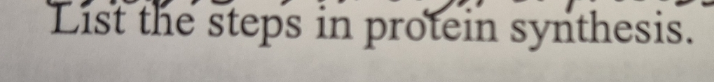 List the steps in protein synthesis.