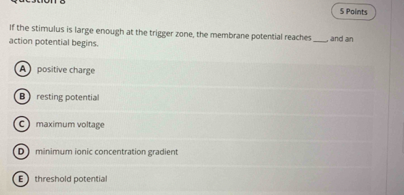 If the stimulus is large enough at the trigger zone, the membrane potential reaches
action potential begins. _, and an
A positive charge
B resting potential
C maximum voltage
D minimum ionic concentration gradient
E threshold potential